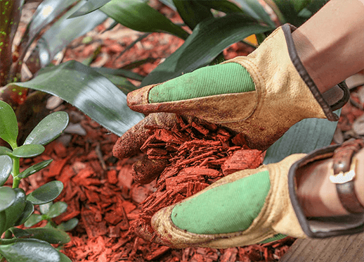 Ver productos para Jardín y Paisajismo