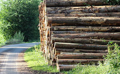 Trabajos de Innovaci&oacute;n