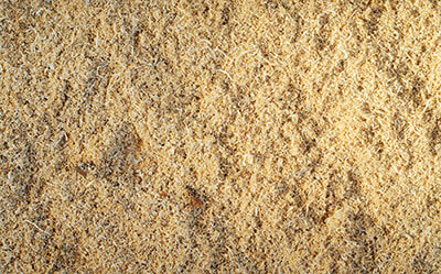 Trabajos de Innovaci&oacute;n