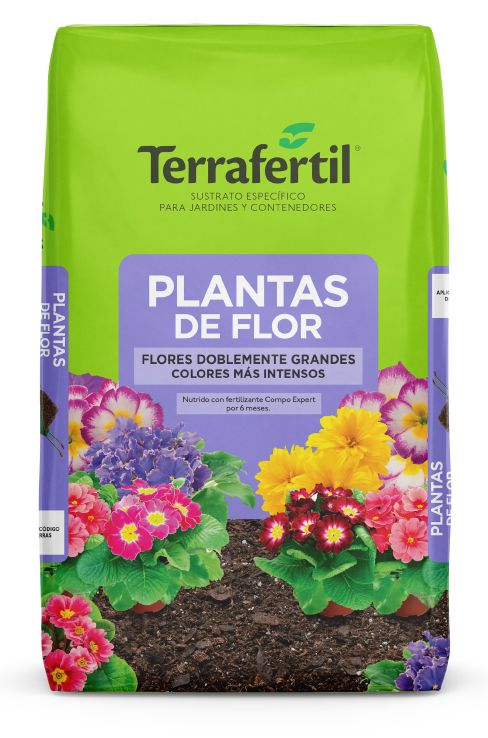 Plantas de Flor (Exterior) 