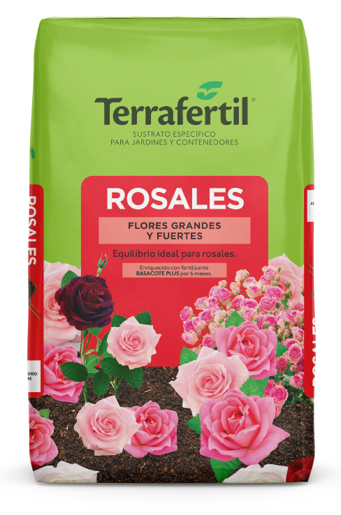 Sustrato para arboles y arbustos